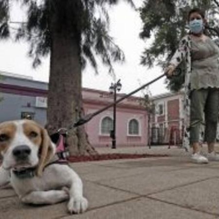 Depto En Barrio Republica Lejlighed Santiago de Chile Eksteriør billede