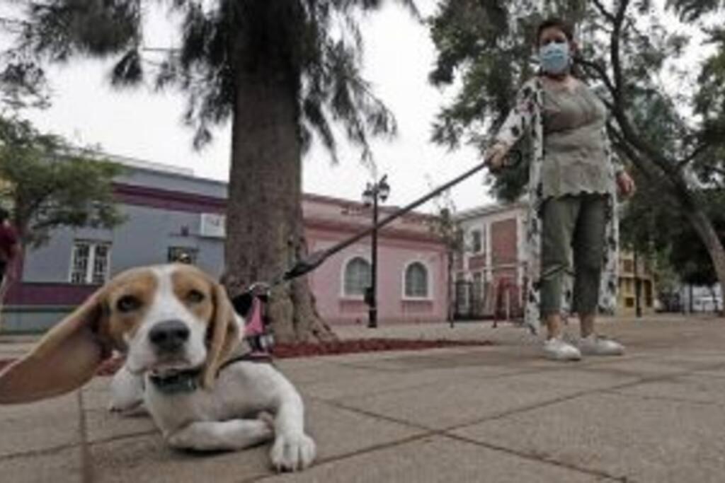 Depto En Barrio Republica Lejlighed Santiago de Chile Eksteriør billede